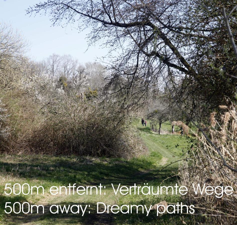 Passivhaus 750M Vom Bodensee -- 2X E-Bike Inklusive -- Neubau 2019 Am Ortsrand Ohningen Exterior photo